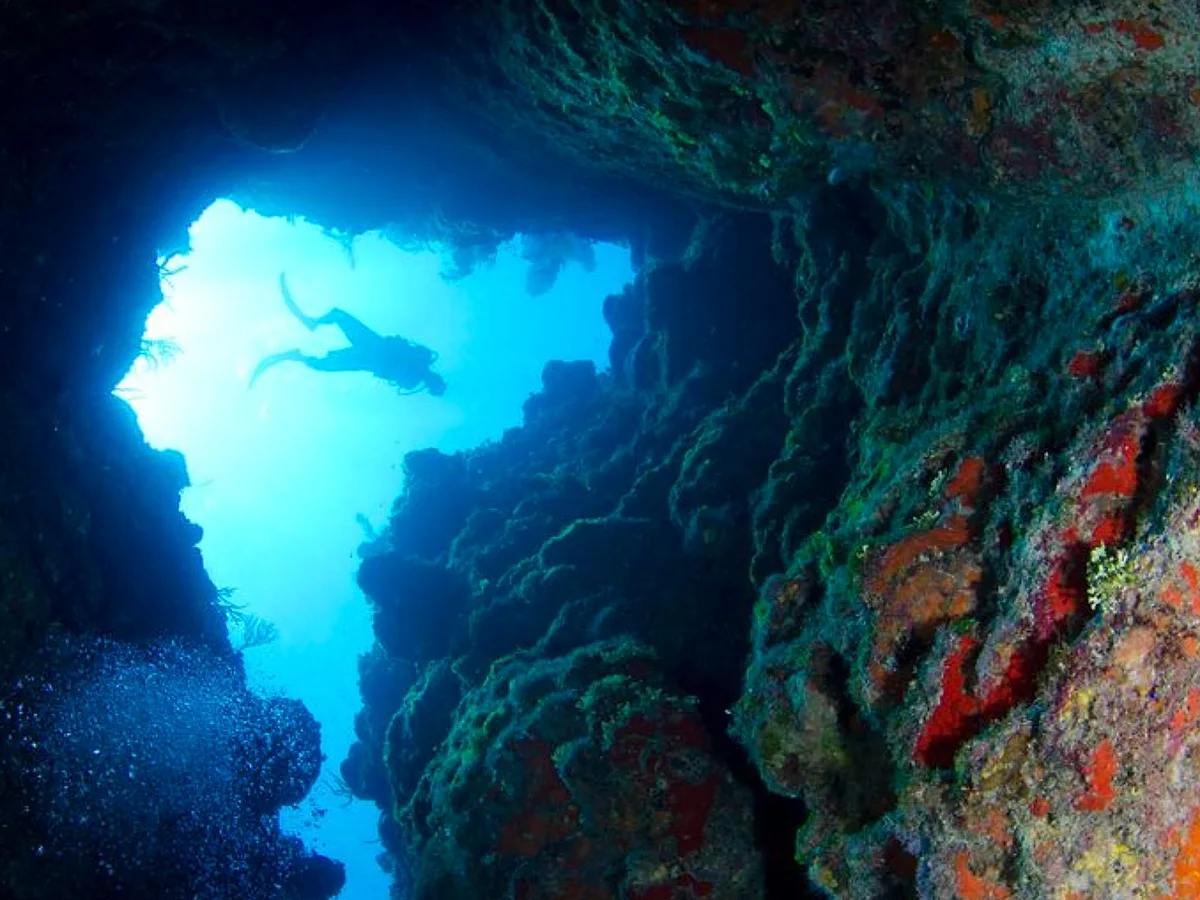 World-Class Scuba Diving